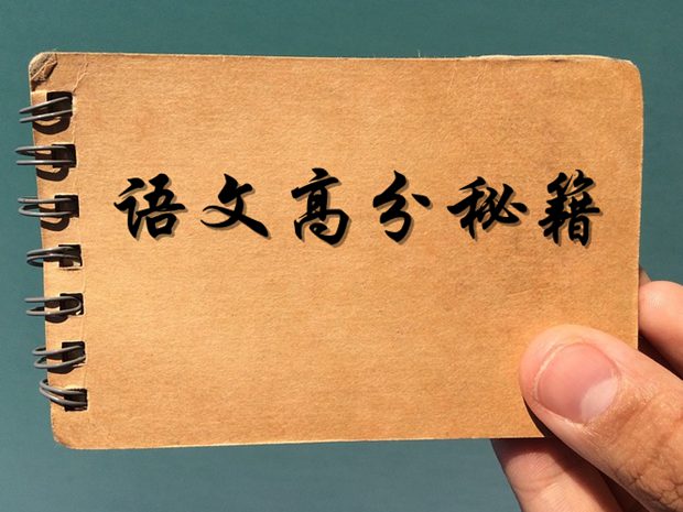初中語文成績不好原因分析及高分秘籍