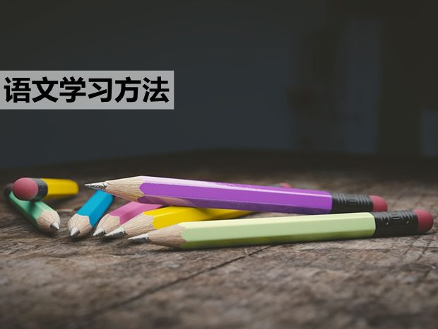 語(yǔ)文學(xué)習(xí)三“不要”和四條建議