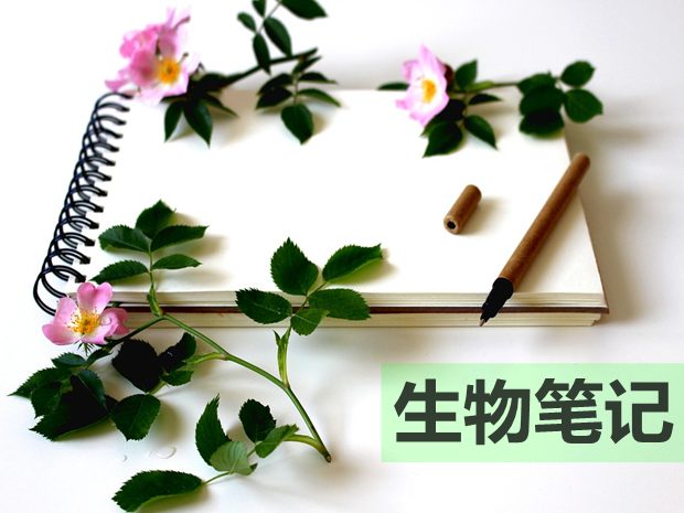 如何整理高中生物復(fù)習(xí)筆記