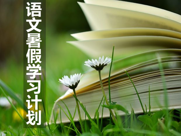 初中語文暑假學(xué)習(xí)計(jì)劃,暑假語文學(xué)習(xí)計(jì)劃怎么寫