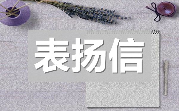 寫給幼兒園老師的表揚信