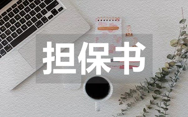 個(gè)人自愿貸款擔(dān)保書,個(gè)人自愿貸款擔(dān)保書模板