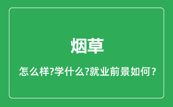 煙草專(zhuān)業(yè)怎么樣,煙草專(zhuān)業(yè)就業(yè)方向及前景分析