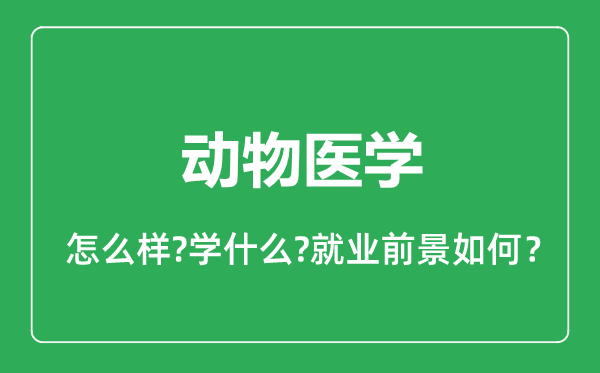 動物醫(yī)學(xué)專業(yè)怎么樣,動物醫(yī)學(xué)專業(yè)就業(yè)方向及前景分析