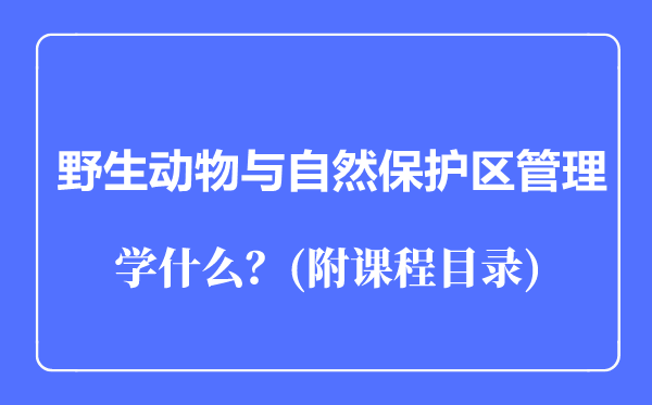 野生動物與自然保護區(qū)管理專業(yè)主要學什么(附課程目錄)