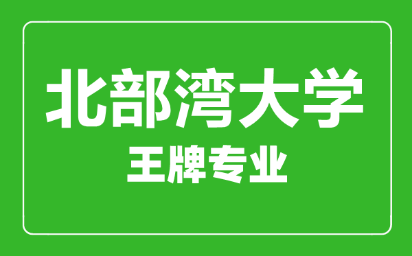 北部灣大學(xué)王牌專業(yè)有哪些,北部灣大學(xué)最好的專業(yè)是什么