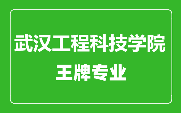 武漢工程科技學(xué)院王牌專業(yè)有哪些,武漢工程科技學(xué)院最好的專業(yè)是什么