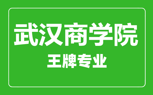 武漢商學院王牌專業(yè)有哪些,武漢商學院最好的專業(yè)是什么