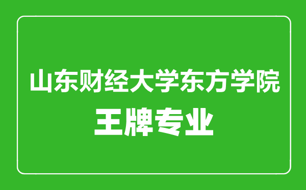山東財經(jīng)大學(xué)東方學(xué)院王牌專業(yè)有哪些,山東財經(jīng)大學(xué)東方學(xué)院最好的專業(yè)是什么