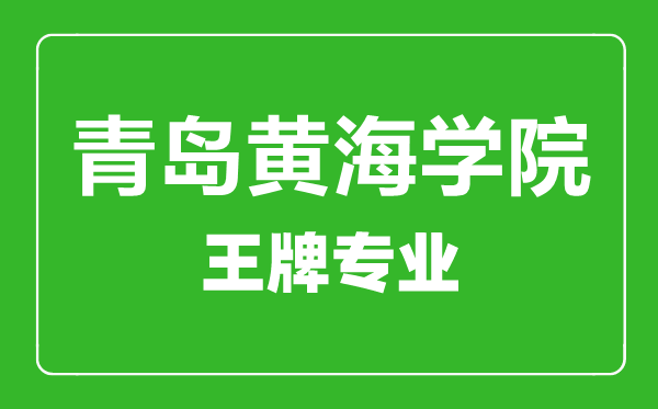 青島黃海學(xué)院王牌專業(yè)有哪些,青島黃海學(xué)院最好的專業(yè)是什么