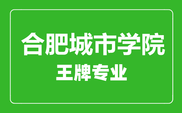 合肥城市學(xué)院王牌專業(yè)有哪些,合肥城市學(xué)院最好的專業(yè)是什么