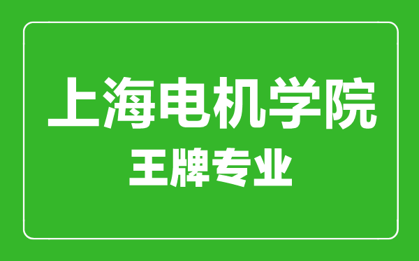 上海電機學(xué)院王牌專業(yè)有哪些,上海電機學(xué)院最好的專業(yè)是什么