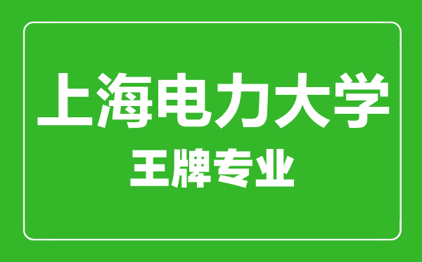 上海電力大學(xué)王牌專業(yè)有哪些,上海電力大學(xué)最好的專業(yè)是什么