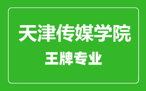 天津傳媒學(xué)院王牌專業(yè)有哪些,天津傳媒學(xué)院最好的專業(yè)是什么