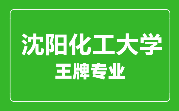 沈陽化工大學(xué)王牌專業(yè)有哪些,某某最好的專業(yè)是什么