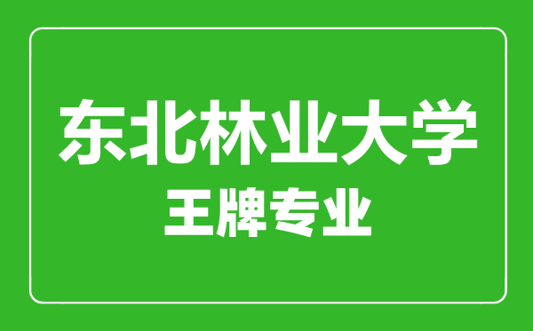 東北林業(yè)大學(xué)王牌專業(yè)有哪些,東北林業(yè)大學(xué)最好的專業(yè)是什么