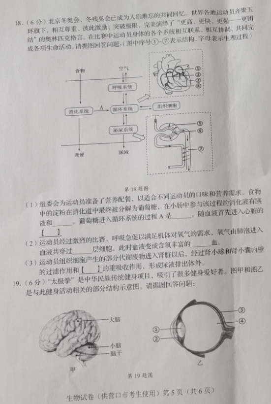 2023年營口市中考生物試卷真題及答案