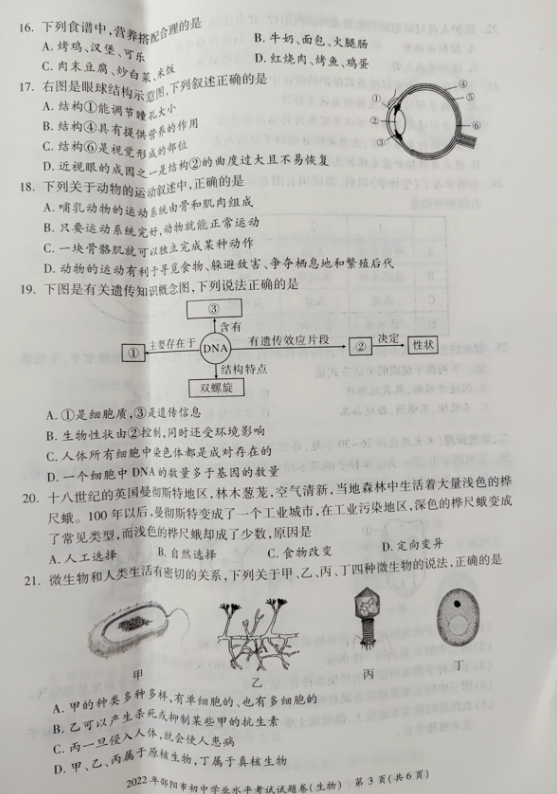 2023年邵陽市中考生物試卷真題及答案