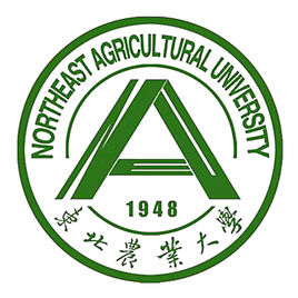 2025東北農業(yè)大學全國排名多少位_最新全國排行榜