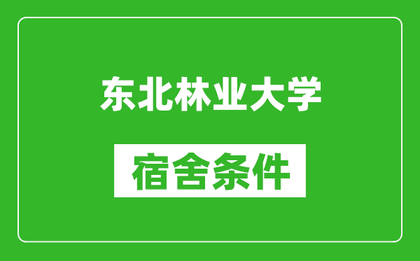 東北林業(yè)大學(xué)宿舍條件怎么樣,有空調(diào)嗎?