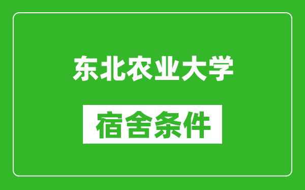東北農(nóng)業(yè)大學(xué)宿舍條件怎么樣,有空調(diào)嗎?