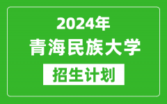 2024年青海民族大學藝考招生計劃_藝術類各專業(yè)招生人數(shù)