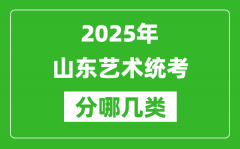 2025年山東藝術(shù)統(tǒng)考類型有哪幾種？