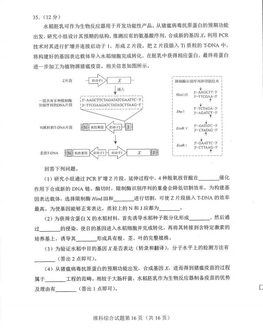 新高考2024九省聯(lián)考河南理綜試卷及答案解析