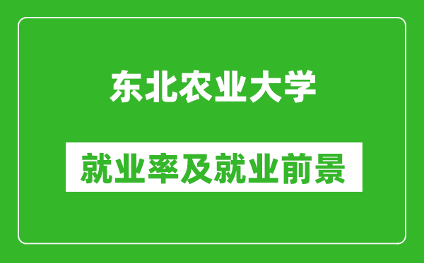 東北農(nóng)業(yè)大學(xué)就業(yè)率怎么樣,就業(yè)前景好嗎？