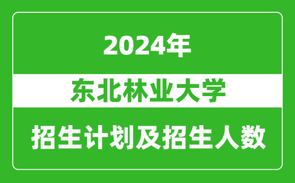 東北林業(yè)大學(xué)2024年在西藏的招生計劃及招生人數(shù)