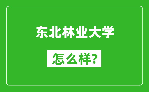 東北林業(yè)大學怎么樣好不好,值得報考嗎?