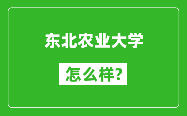 東北農(nóng)業(yè)大學(xué)怎么樣好不好,值得報(bào)考嗎？