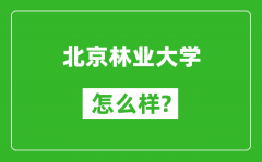 北京林業(yè)大學(xué)怎么樣好不好_值得報(bào)考嗎？