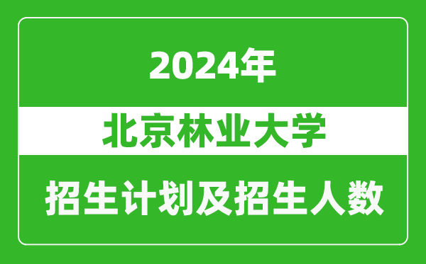 北京林業(yè)大學2024年在湖北的招生計劃及招生人數(shù)