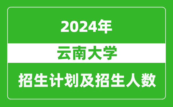 云南大學(xué)2024年在山東的招生計劃及招生人數(shù)