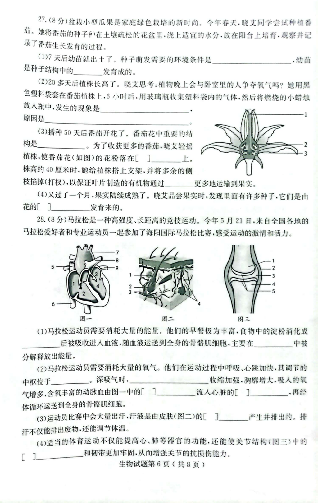 2024年煙臺中考生物試卷真題及答案解析