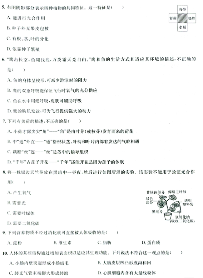 2024年濟寧中考生物試卷真題及答案解析