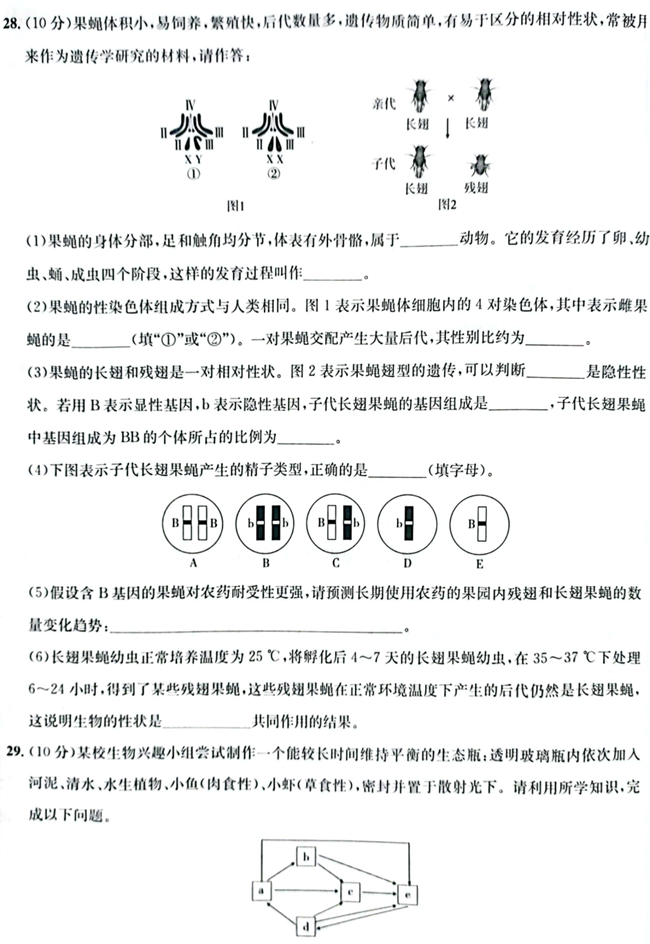 2024年濟寧中考生物試卷真題及答案解析