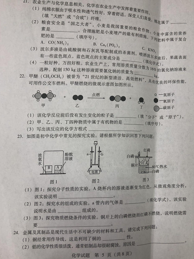 2024年臨沂中考化學試卷真題及答案解析