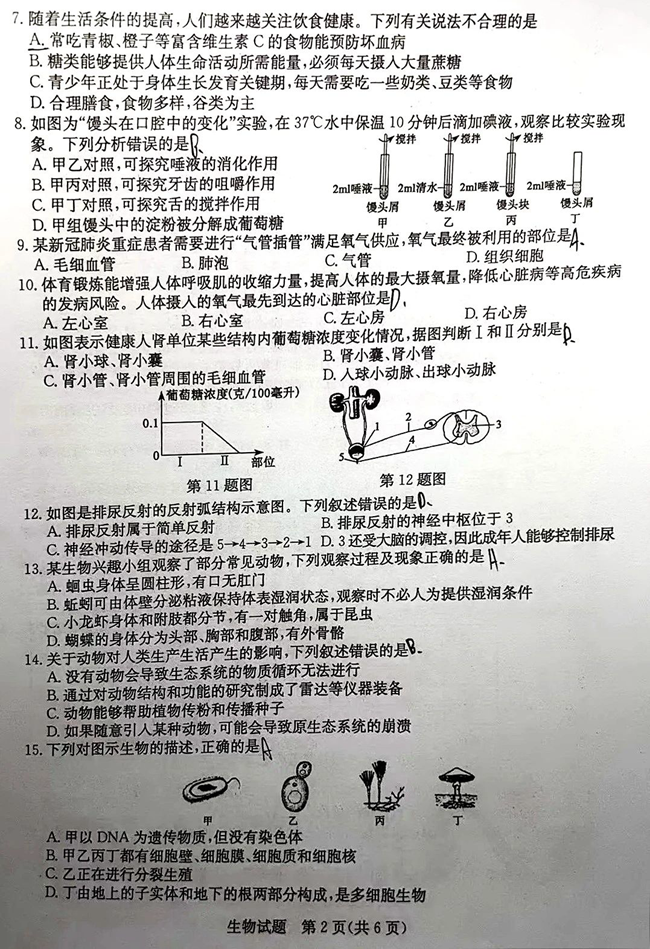 2024年聊城中考生物試卷真題及答案解析