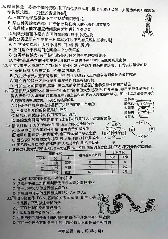 2024年聊城中考生物試卷真題及答案解析