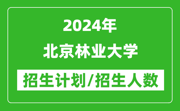 2024年北京林業(yè)大學(xué)各省招生計(jì)劃及各專業(yè)招生人數(shù)是多少