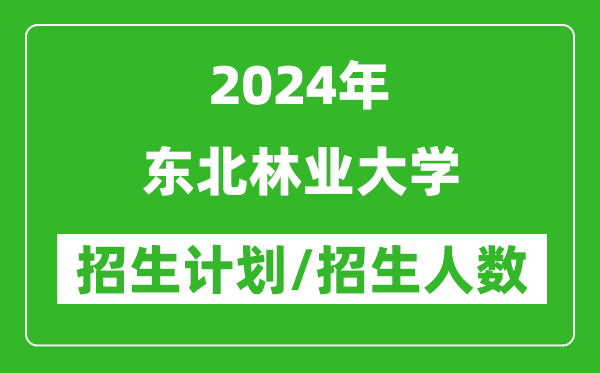 2024年東北林業(yè)大學(xué)各省招生計劃及各專業(yè)招生人數(shù)是多少