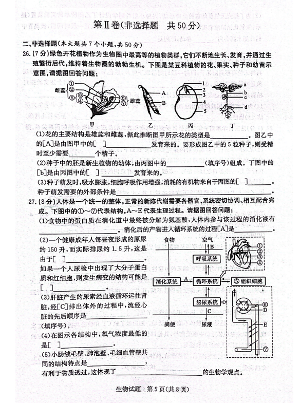 2024年濱州中考生物試卷真題及答案解析
