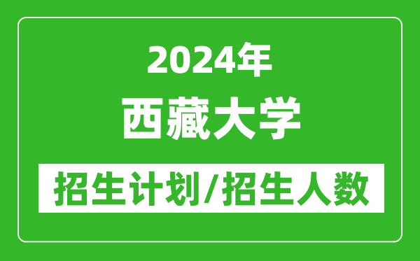 2024年西藏大學(xué)各省招生計(jì)劃及各專業(yè)招生人數(shù)是多少