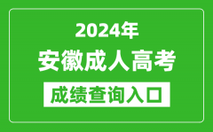 2024年安徽成人高考成績(jī)查詢(xún)?nèi)肟诰W(wǎng)址(https://www.ahzsks.cn/)