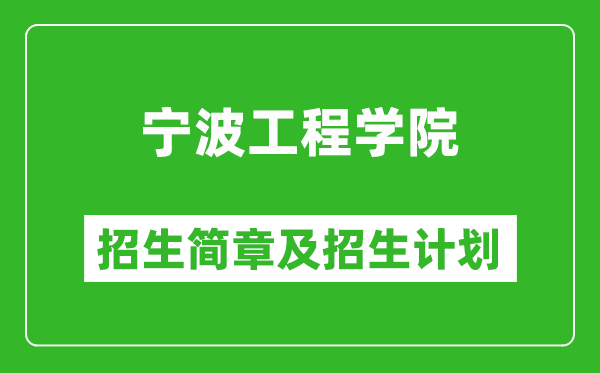 寧波工程學(xué)院2025年招生簡(jiǎn)章,各省高考招生計(jì)劃人數(shù)一覽表