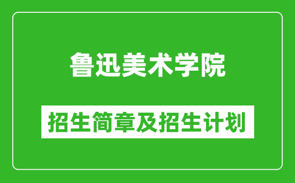 魯迅美術(shù)學(xué)院2025年招生簡章,各省高考招生計劃人數(shù)一覽表