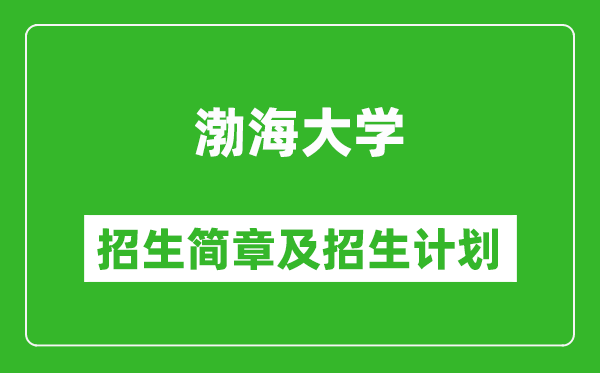 渤海大學(xué)2025年招生簡章,各省高考招生計(jì)劃人數(shù)一覽表