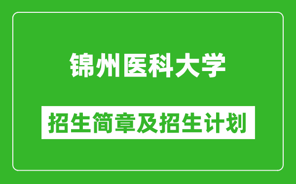 錦州醫(yī)科大學(xué)2025年招生簡(jiǎn)章,各省高考招生計(jì)劃人數(shù)一覽表